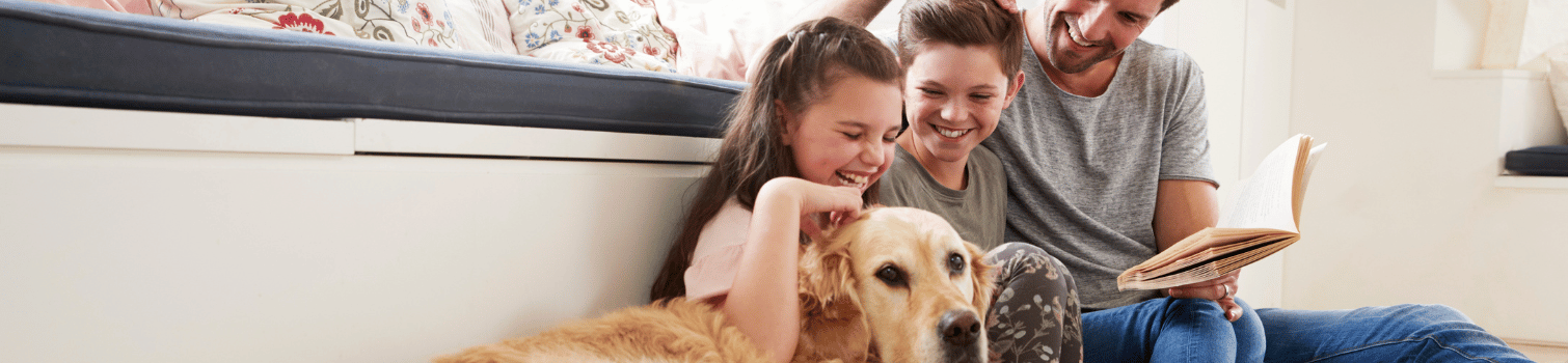 test genetico perro veterinaria madrid